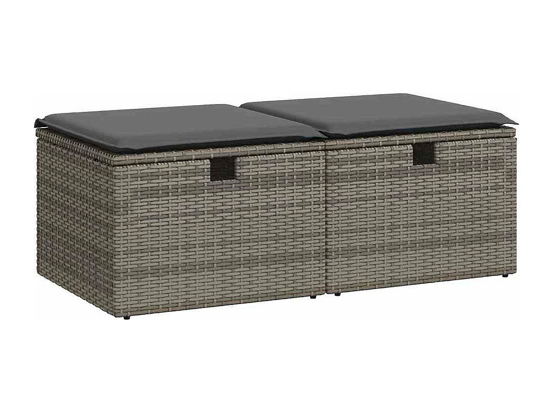 Salon de jardin 2 pcs avec coussins gris résine tressée acacia