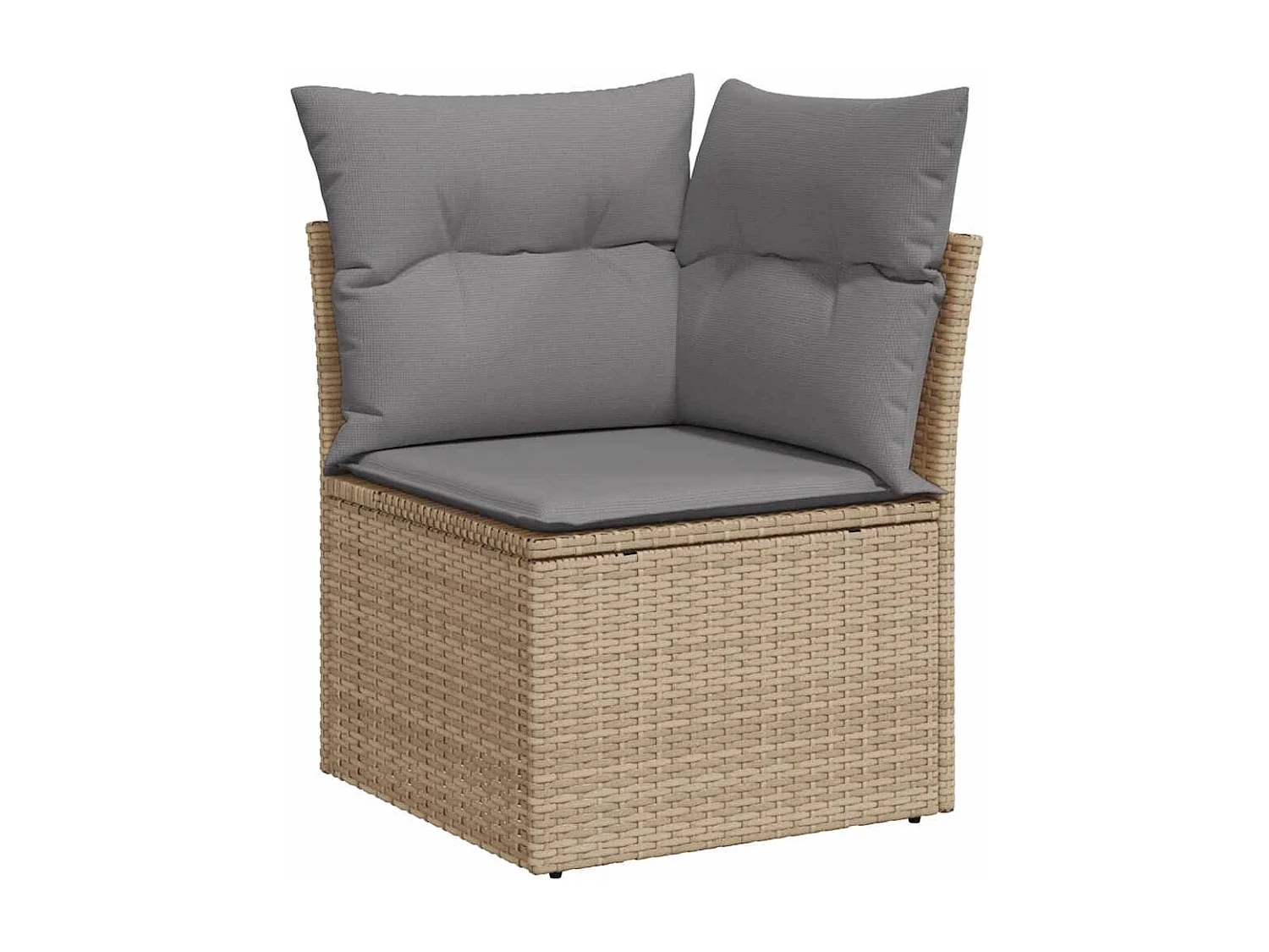 Salon de jardin 11 pcs avec coussins beige résine tressée