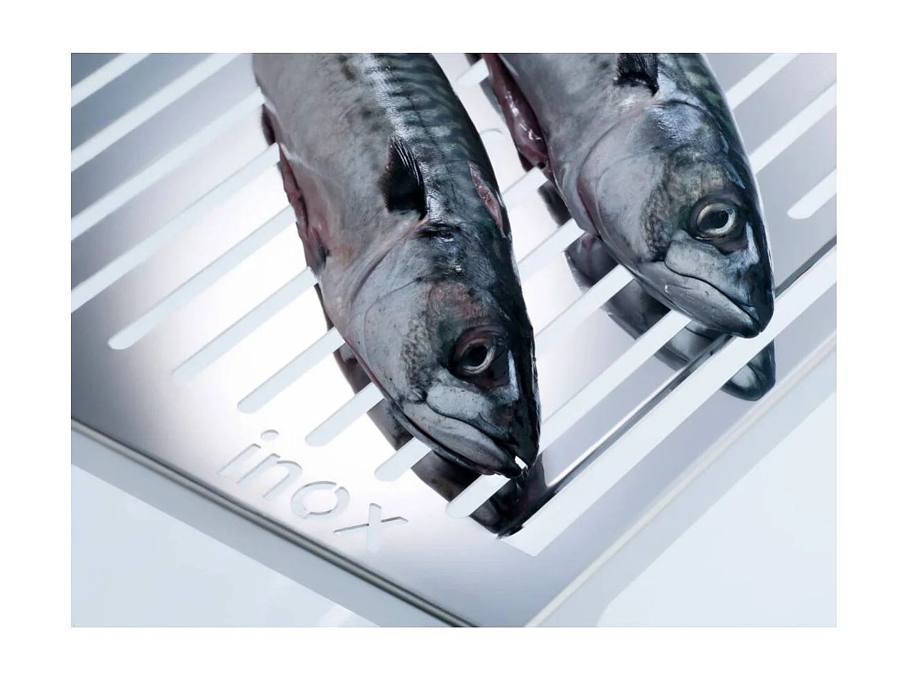 Großer Edelstahl Grillrost für Fisch und Gemüse – ABRASAME