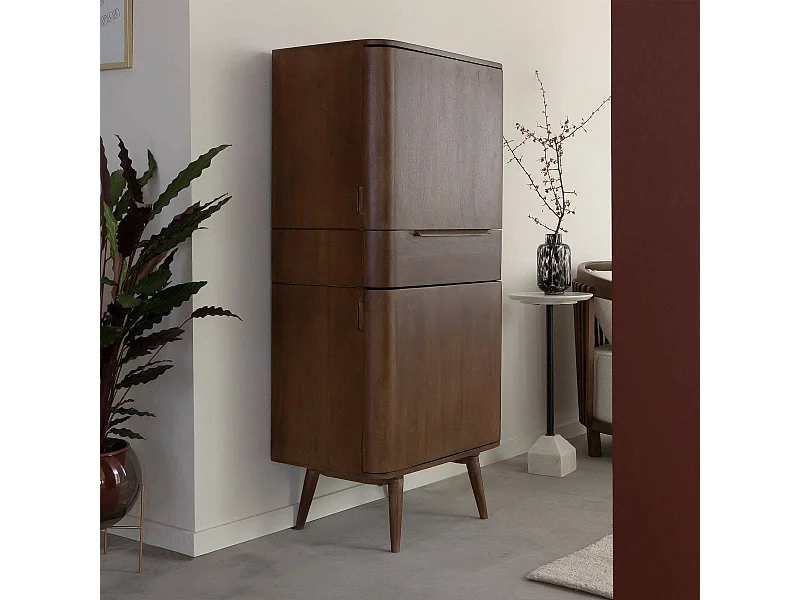 Armoire en bois de manguier foncé Aléna