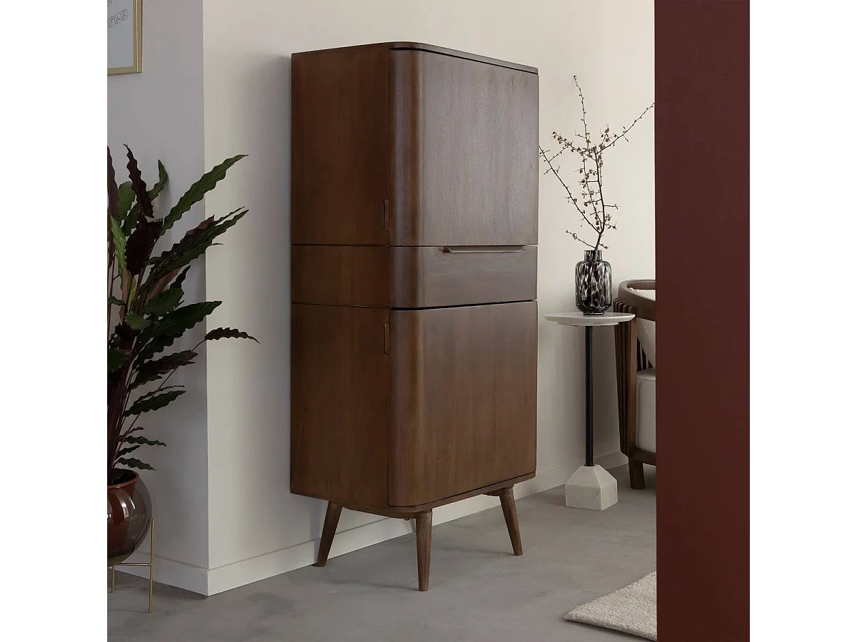 Armoire en bois de manguier foncé Aléna