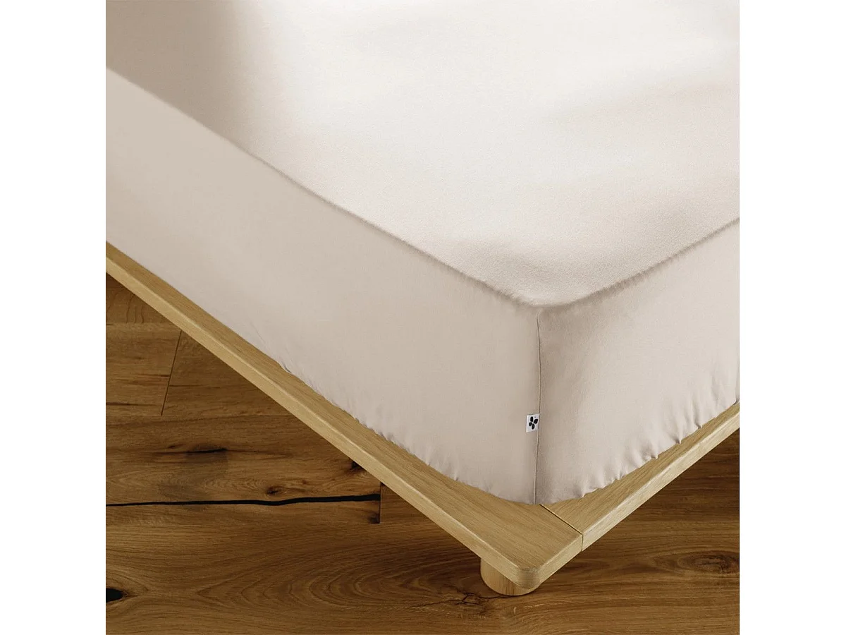 SAMIA - Drap Housse 80x200cm Coton Coloris Pampa