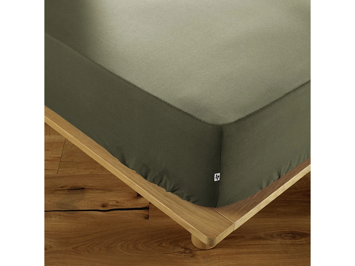 SAMIA - Drap Housse 80x200cm Coton Coloris Romarin