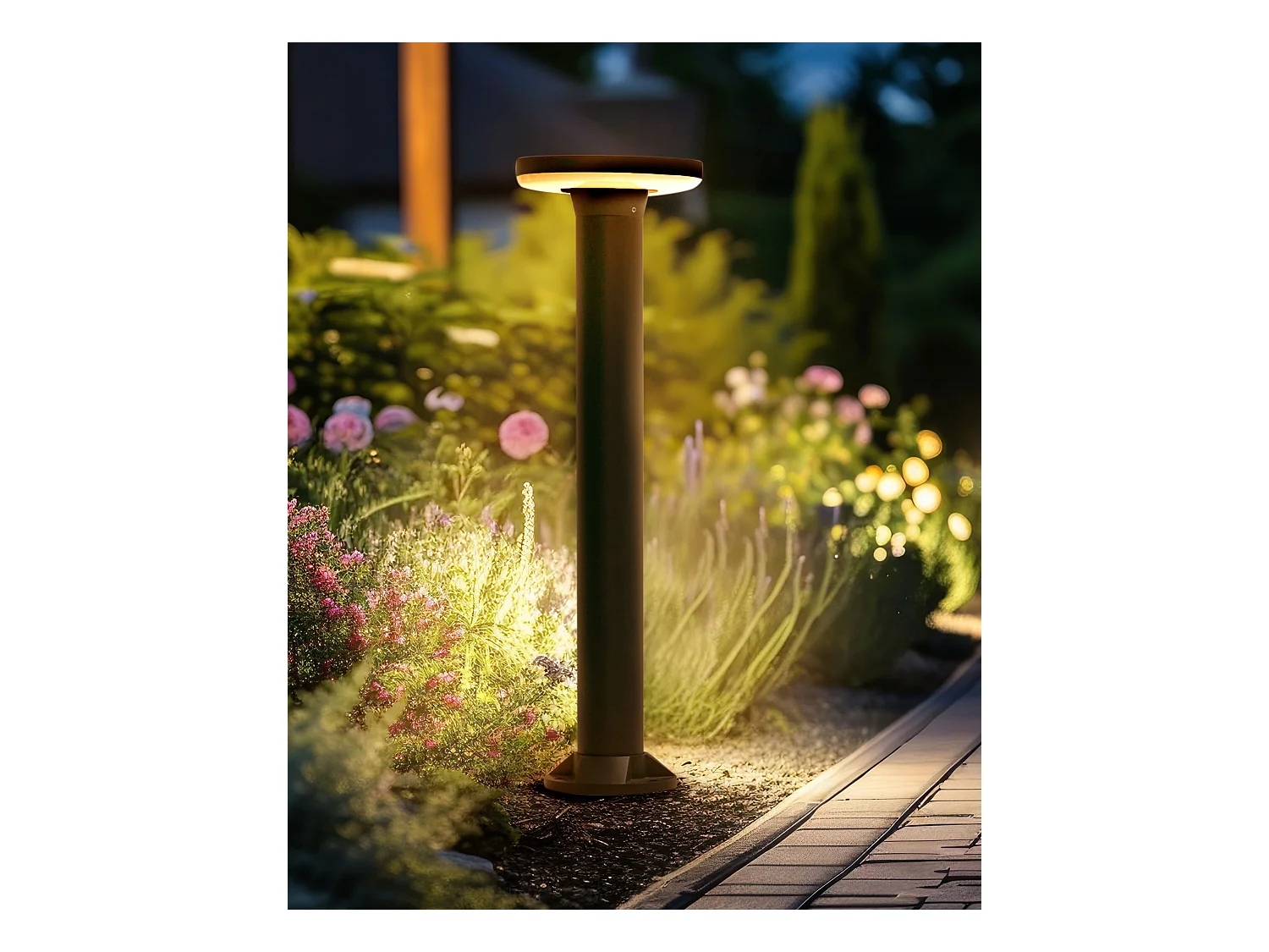 LED paallamp op zonnenergie voor buiten TARKIO Zwart