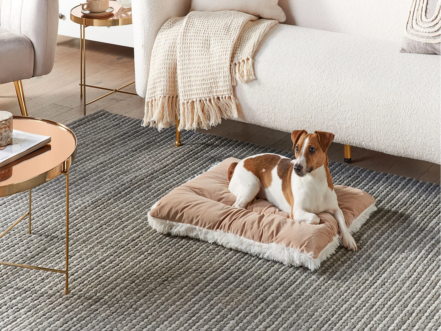 Dierenbedje ERGANI Fluweel Beige