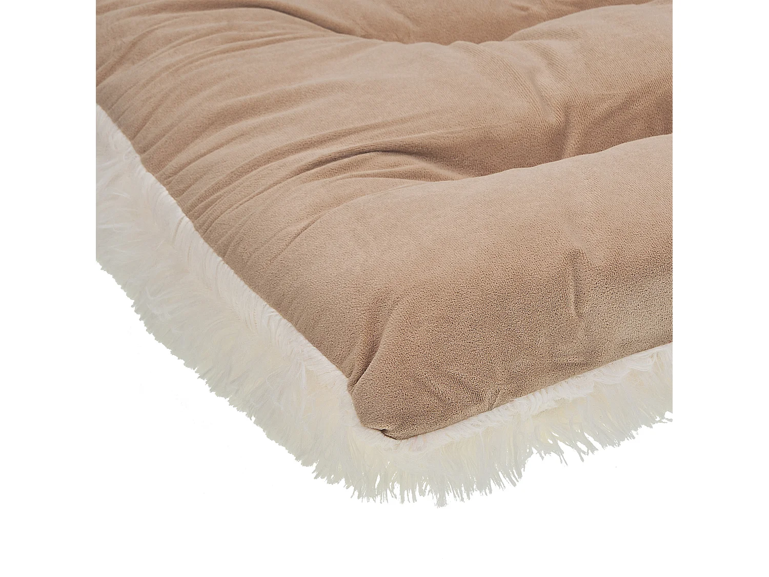 Dierenbedje ERGANI Fluweel Beige