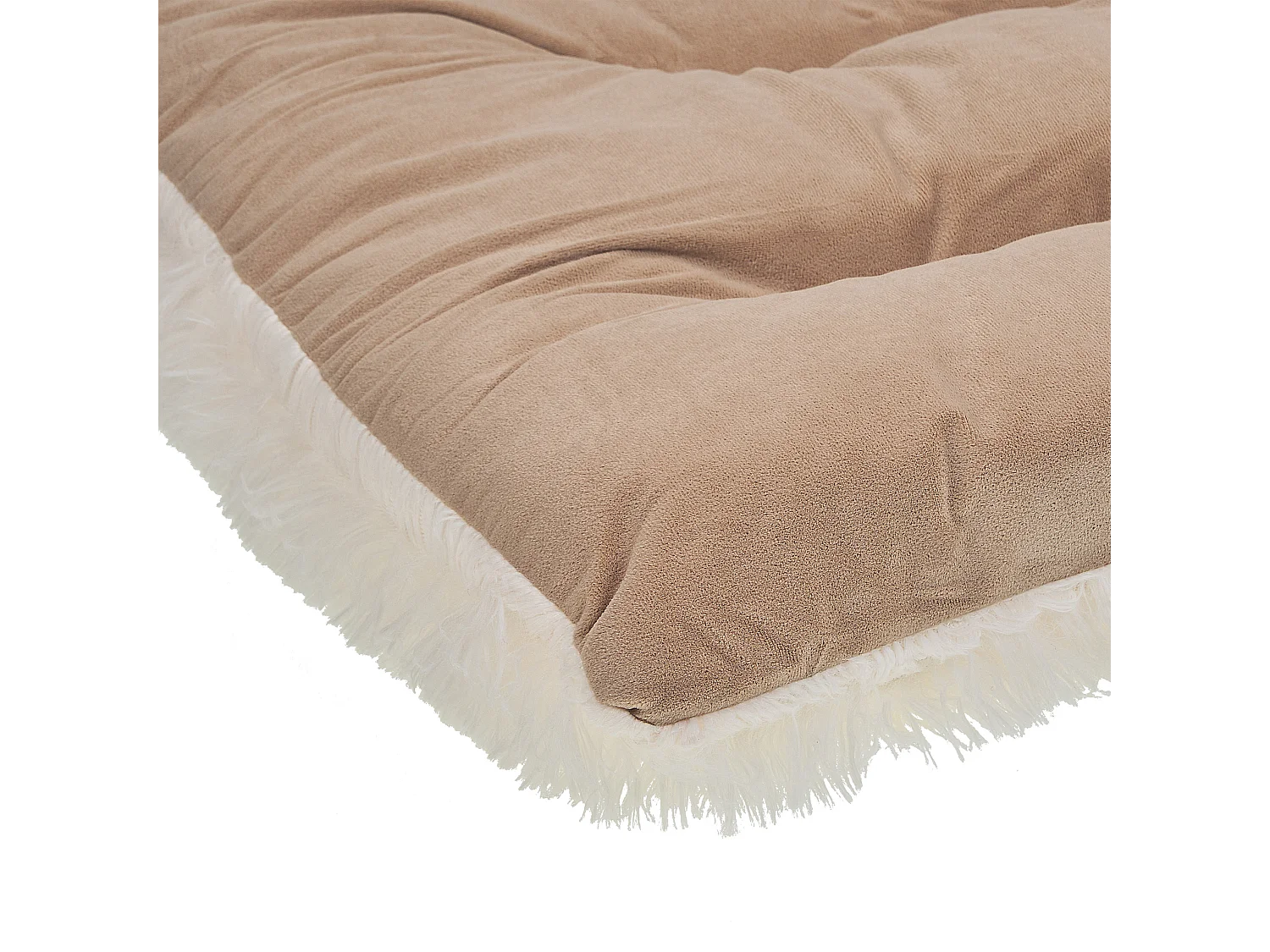 Cuccia per animali ERGANI Velluto Beige