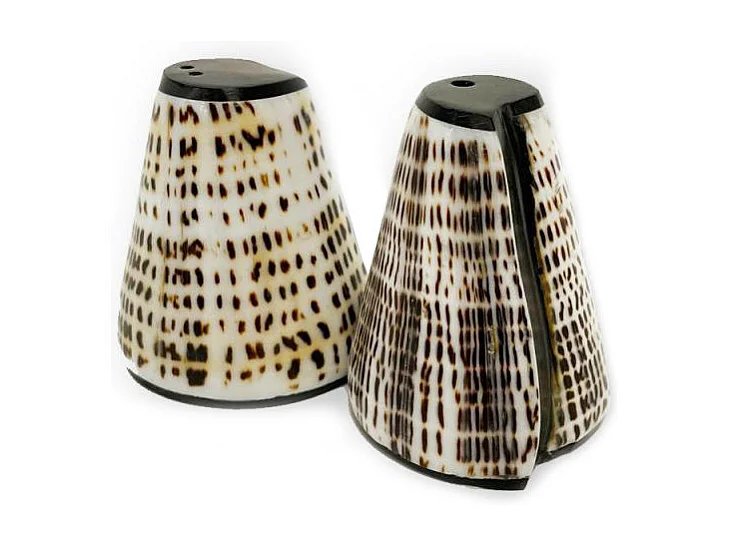 De Salt & Peppa Shell - Set Van 2