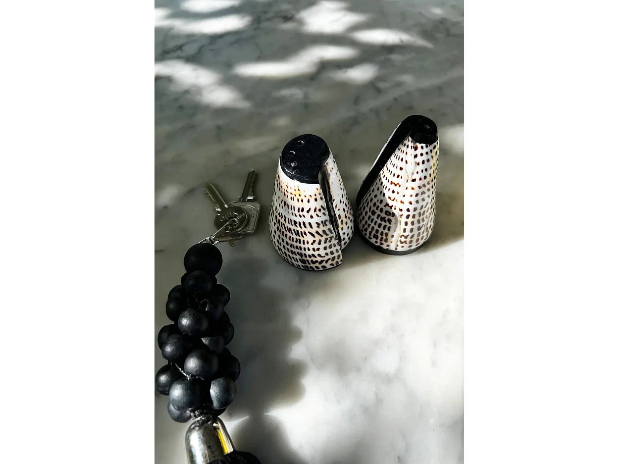 De Salt & Peppa Shell - Set Van 2