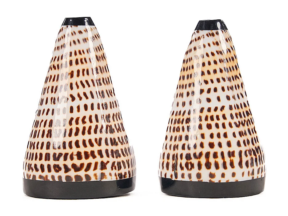 De Salt & Peppa Shell - Set Van 2