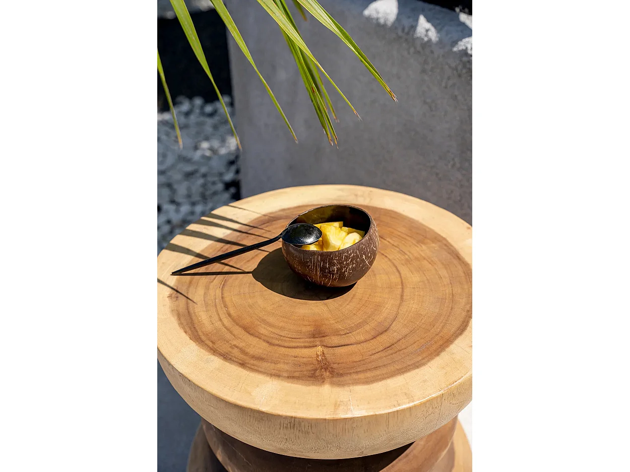 Le Bol À Coco - Noir Naturel