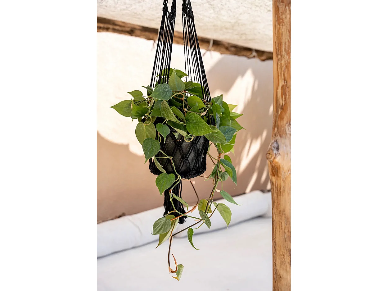 De Macrame Planthanger - Zwart - L