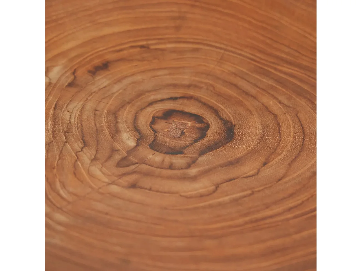 L'Assiette Teak Root Organic