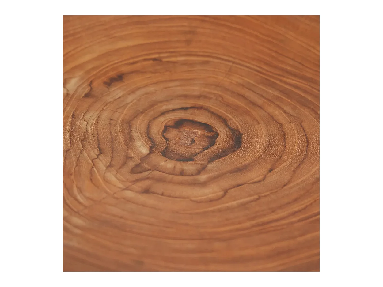 El Plato Teak Root Organic