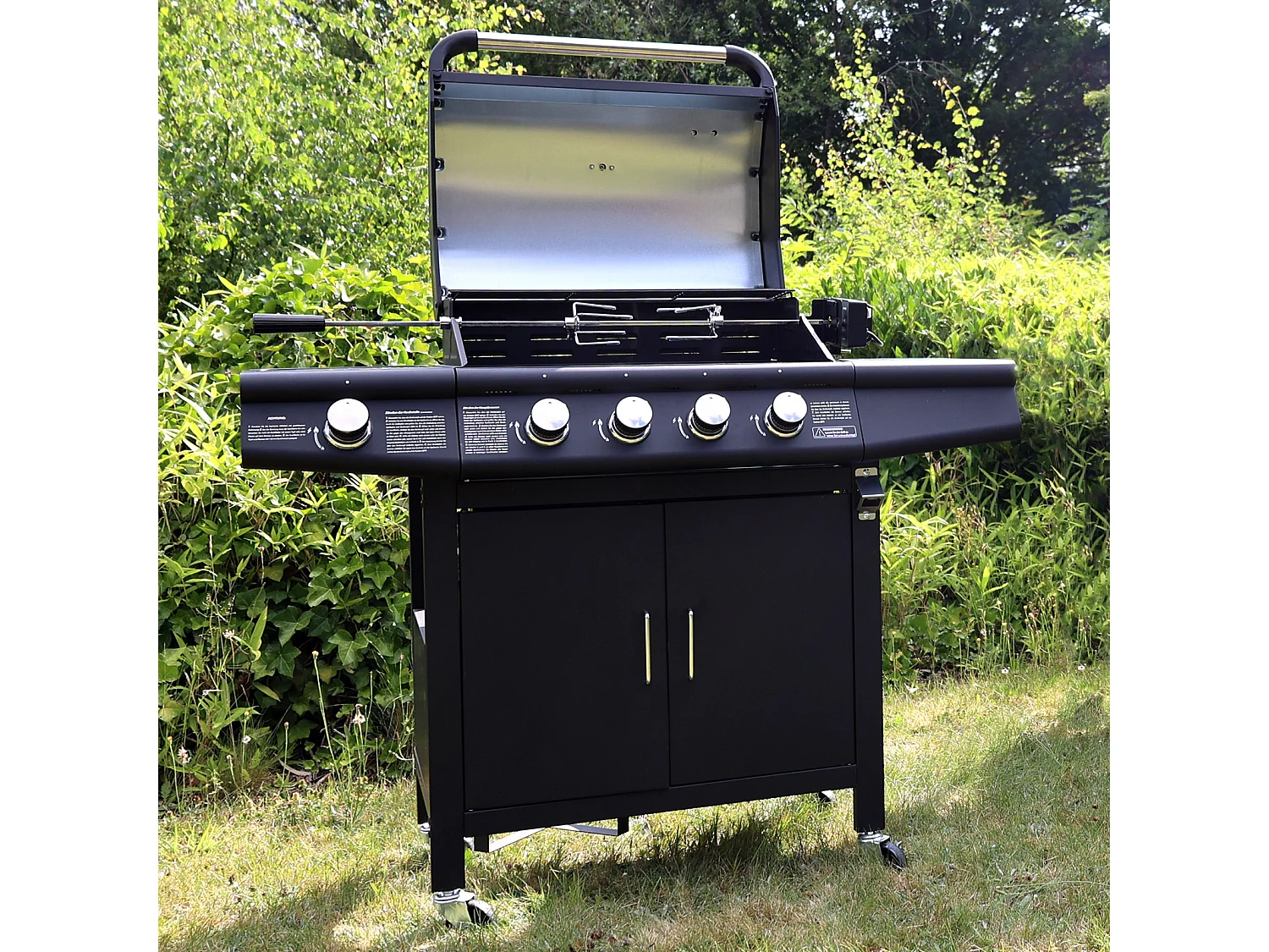 TAINO Tournebroche électrique pour barbecue à gaz