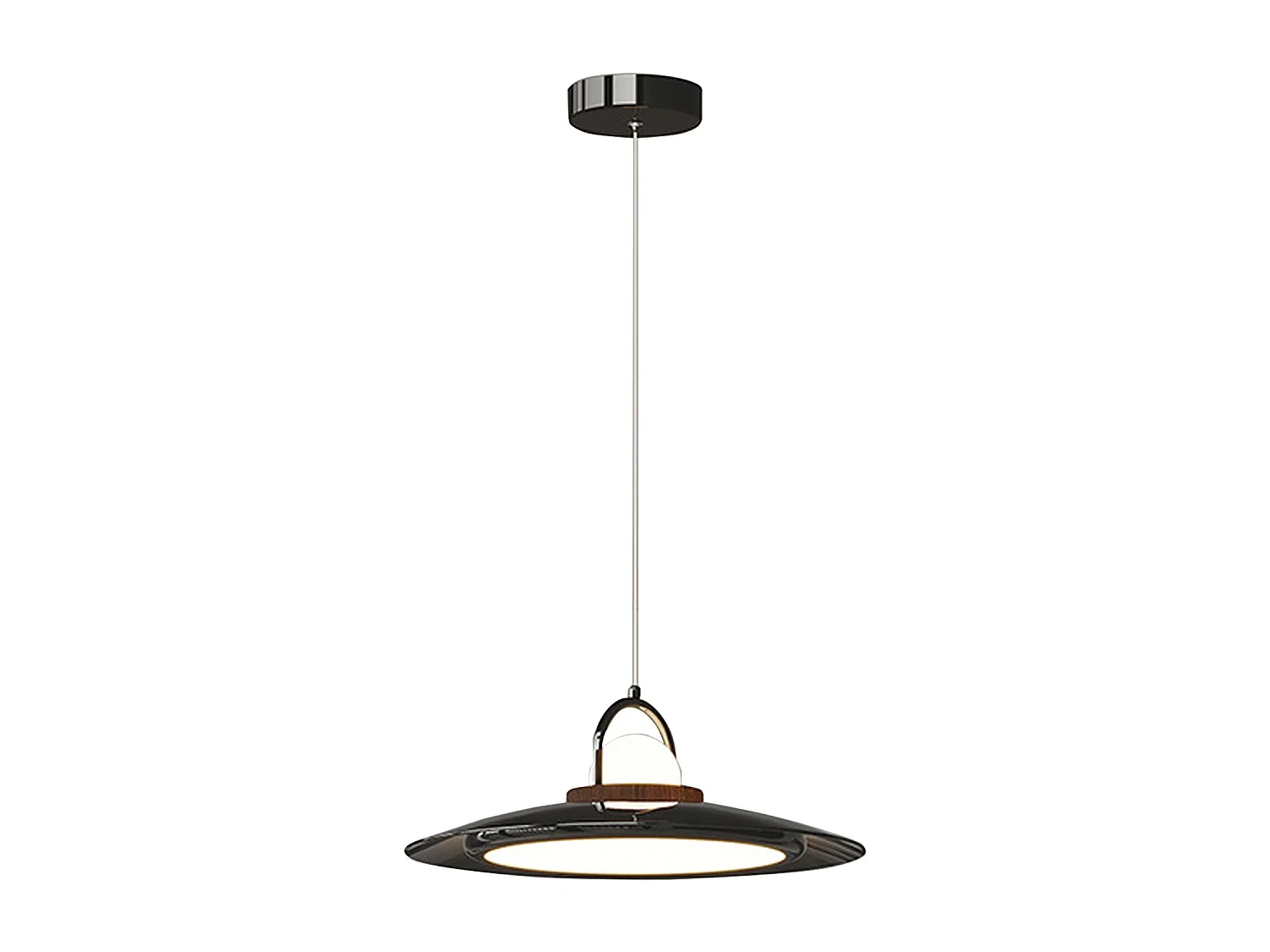 Lustre arturesthome en dôme moderne art deco,adaptée pour le restaurant, la chambre à coucher et le salon,noir,d50 cm x h15 cm