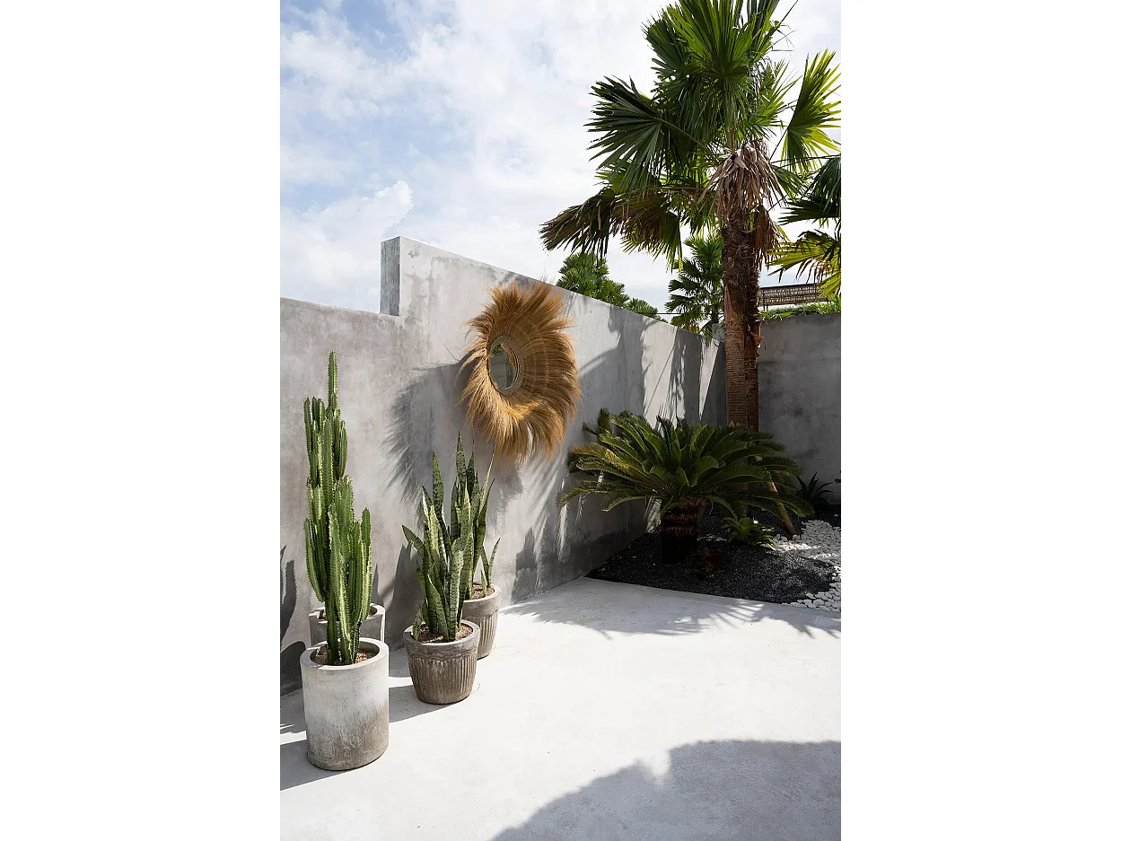 Der Sunken Forest Spiegel - Natur