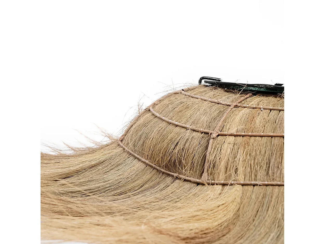 Der Sunken Forest Spiegel - Natur