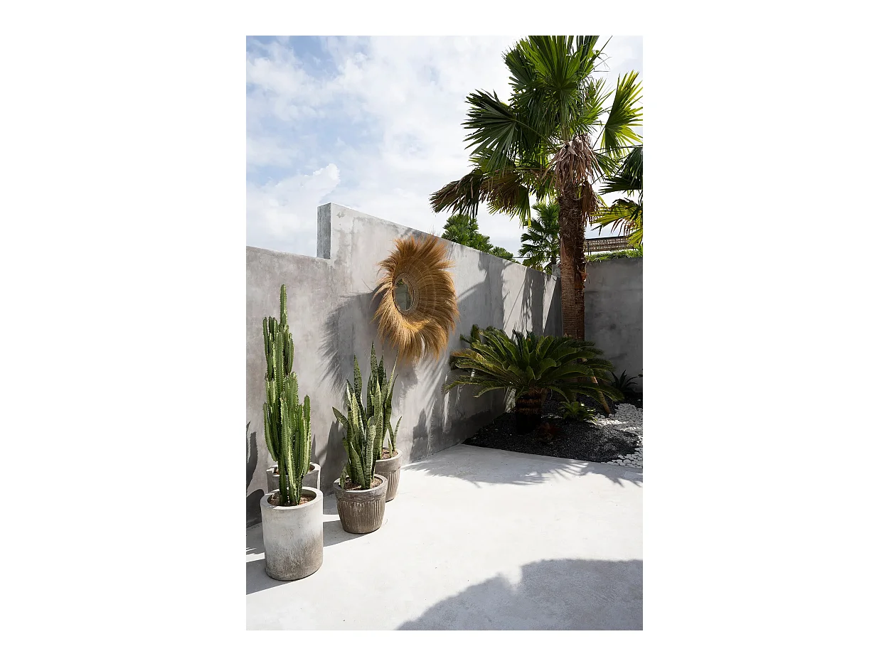 Le Miroir Sunken Forest - Naturel