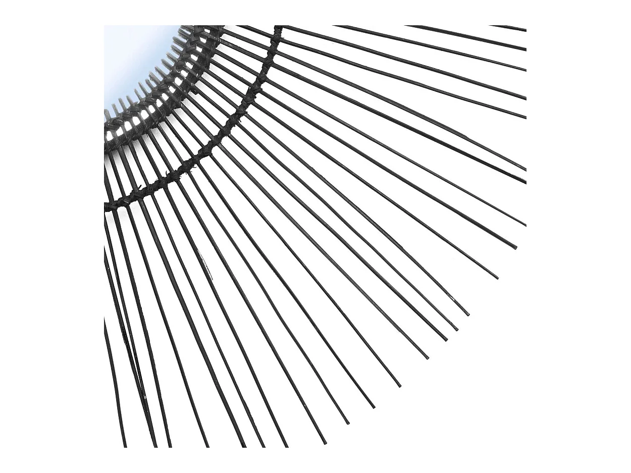 Le Miroir Tropical - Noir - L