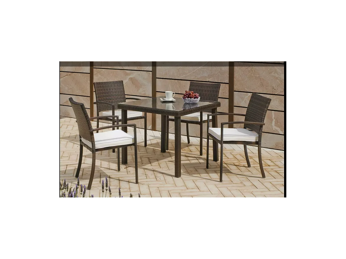 Conjunto terraza, jardín mesa+4 sillones Bahia -909 /4+4C.
