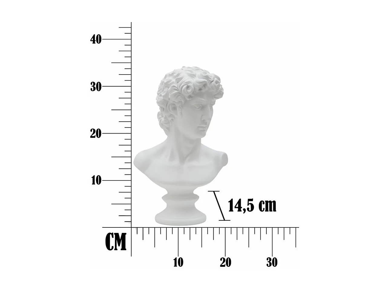 Buste Tête Masculine "Roman" 34cm Blanc