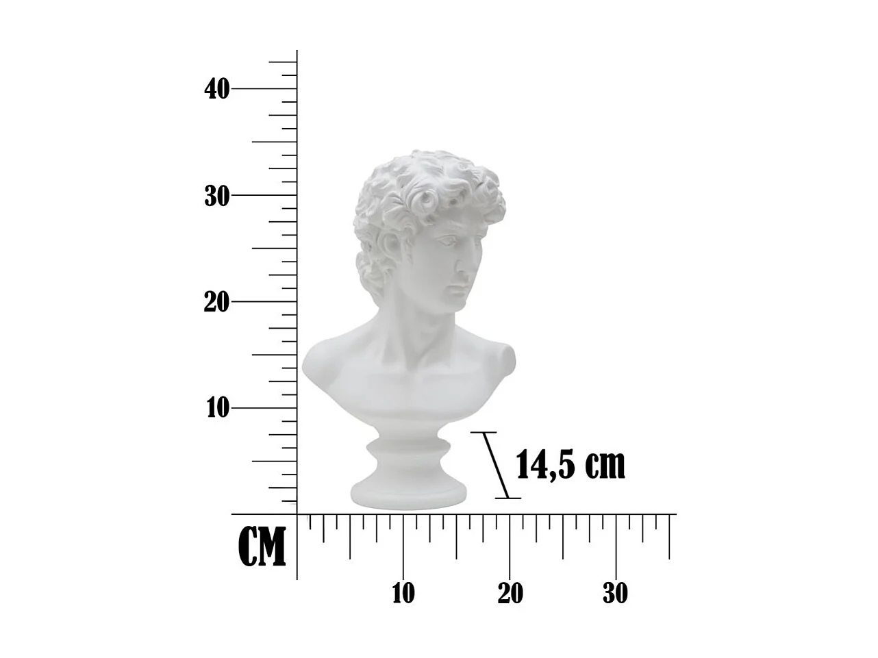 Buste Tête Masculine "Roman" 34cm Blanc