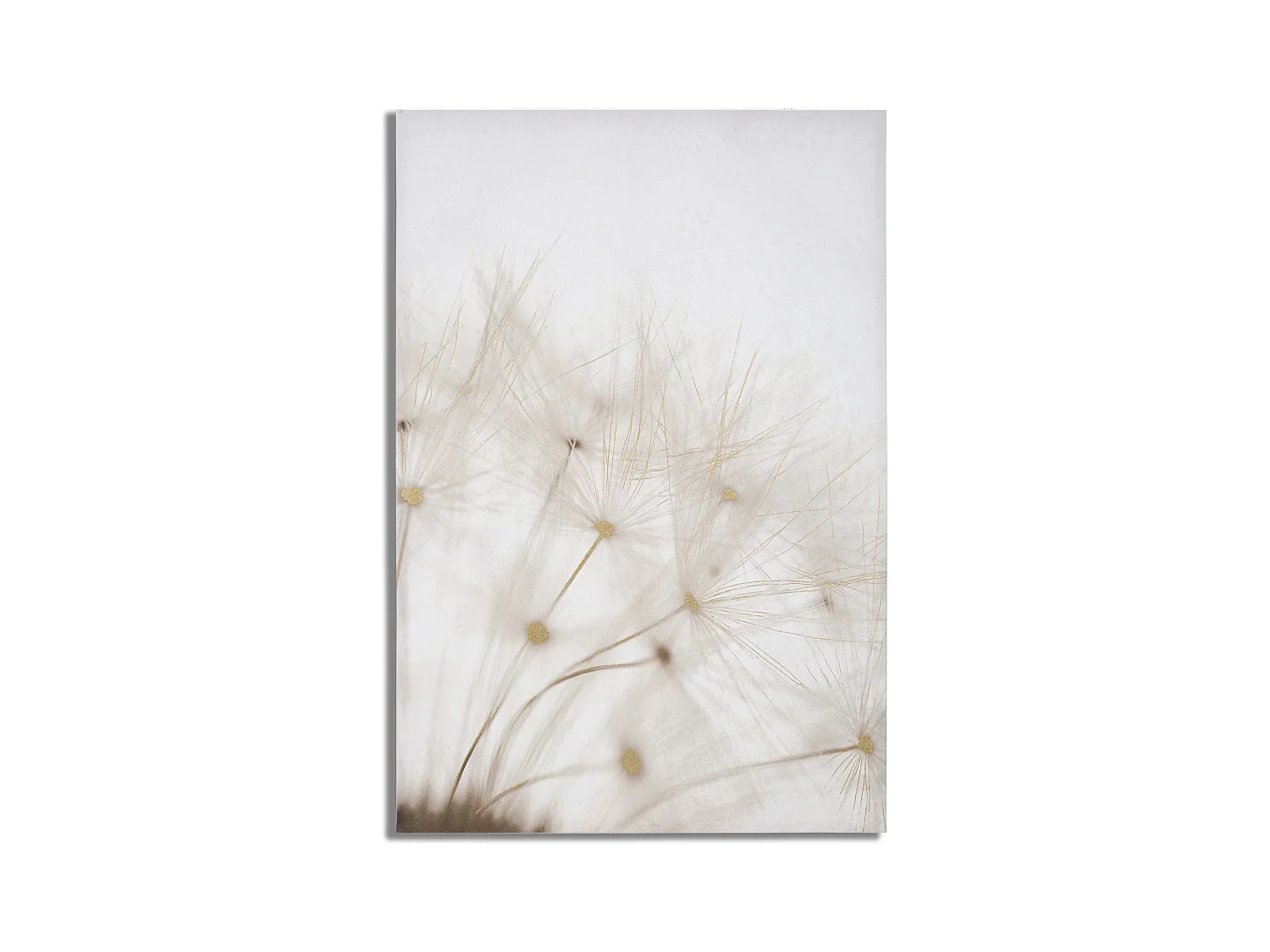 Impression sur toile fleur multicolore 80x3x120 cm