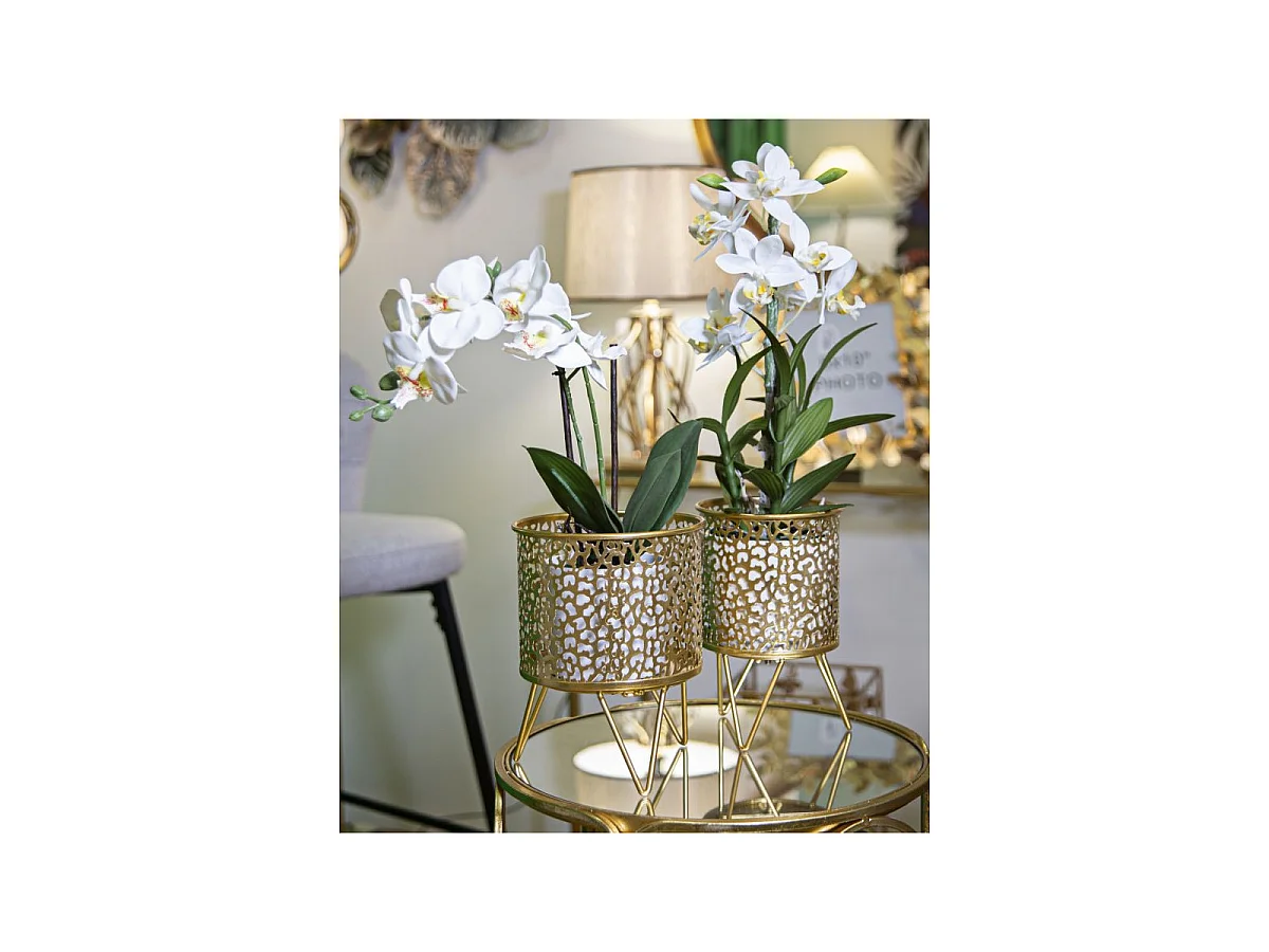 Lot de 2 Cache-Pots Design "Piny" 20cm Or