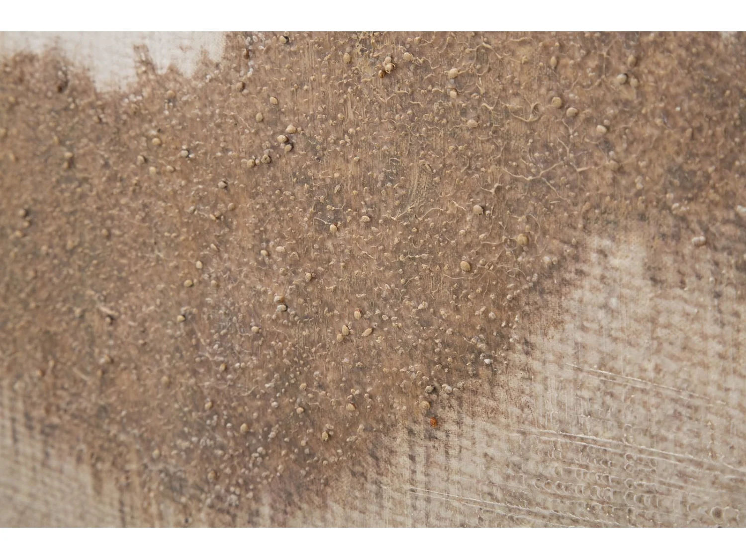 Toile Peinture Déco "Browny" 80x100cm Multicolore