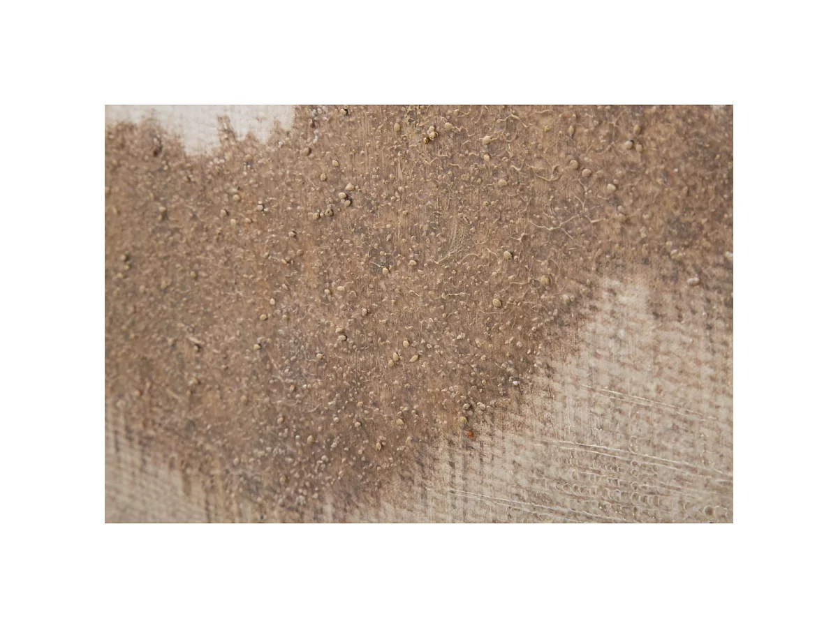 Toile Peinture Déco "Browny" 80x100cm Multicolore
