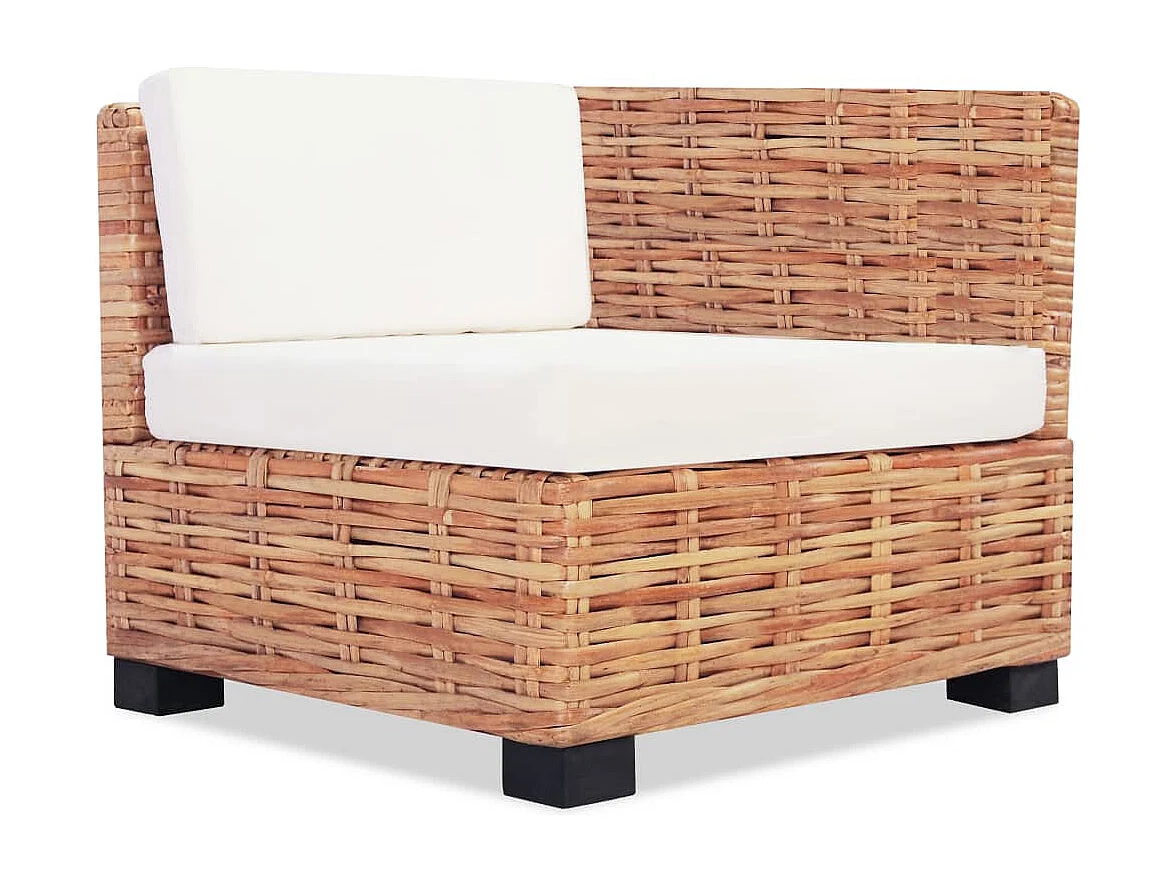 Jeu de canapés 14 pièces Rotin naturel