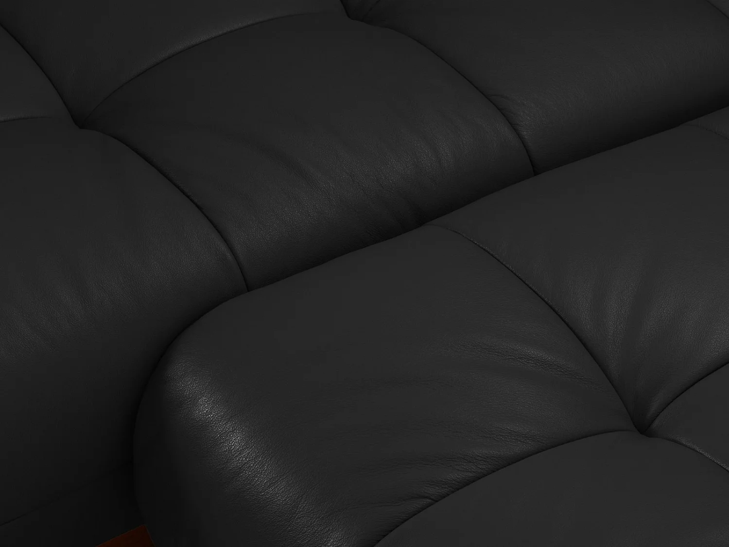 CXL by Christian Lacroix - Narożnik lewy panoramiczny, "Olivier" 4 miejsca skóra naturalna, czarny - 264x171x87cm