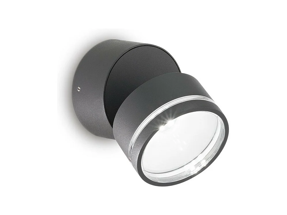 Ideal Lux OMEGA Spot Simple Rond Anthracite IP54 4000K