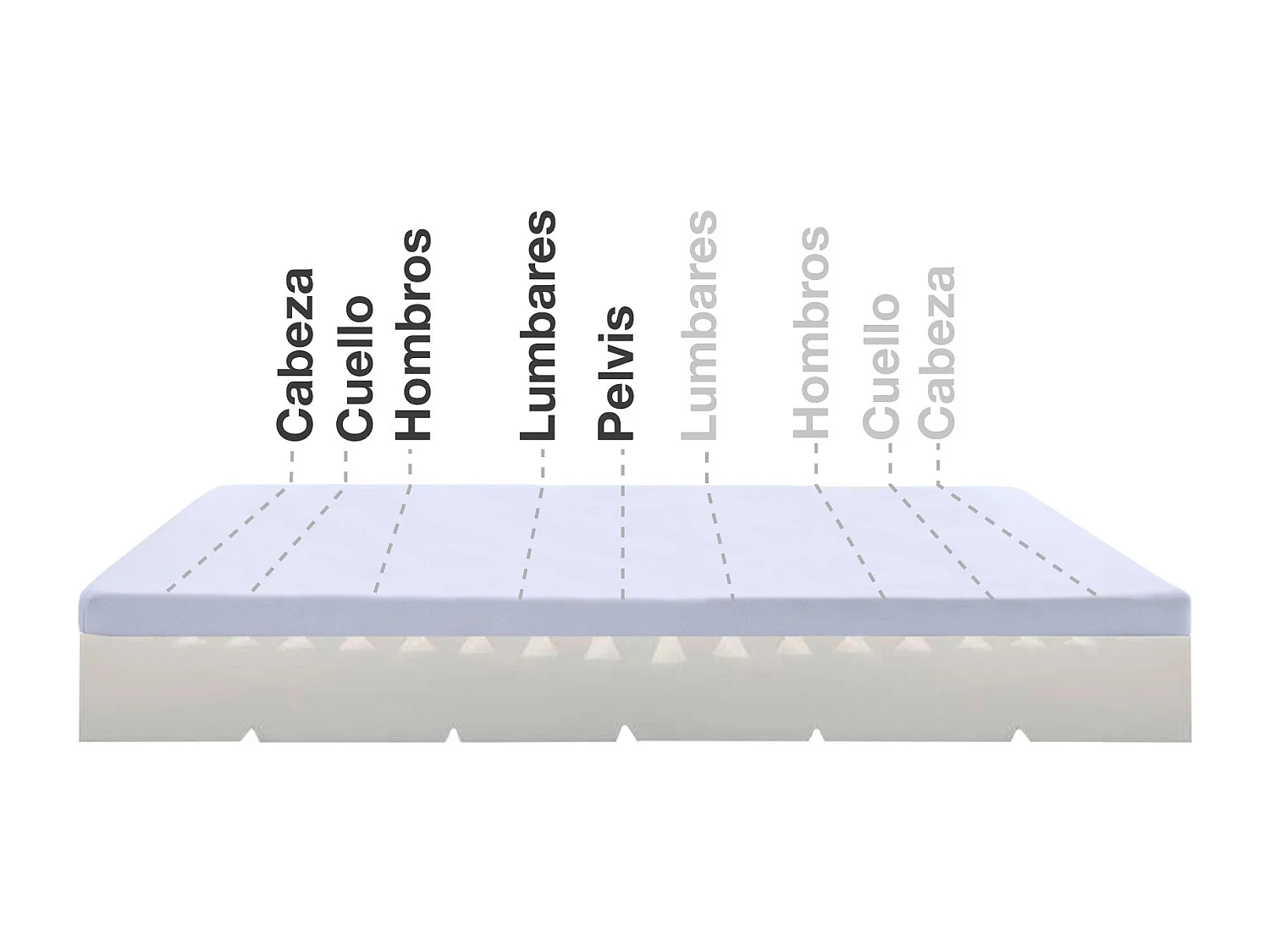 MATELAS MAX ONE ORTHOPEDIQUE DEHOUSSABLE MULTIZONE, 20 cm - Moonia