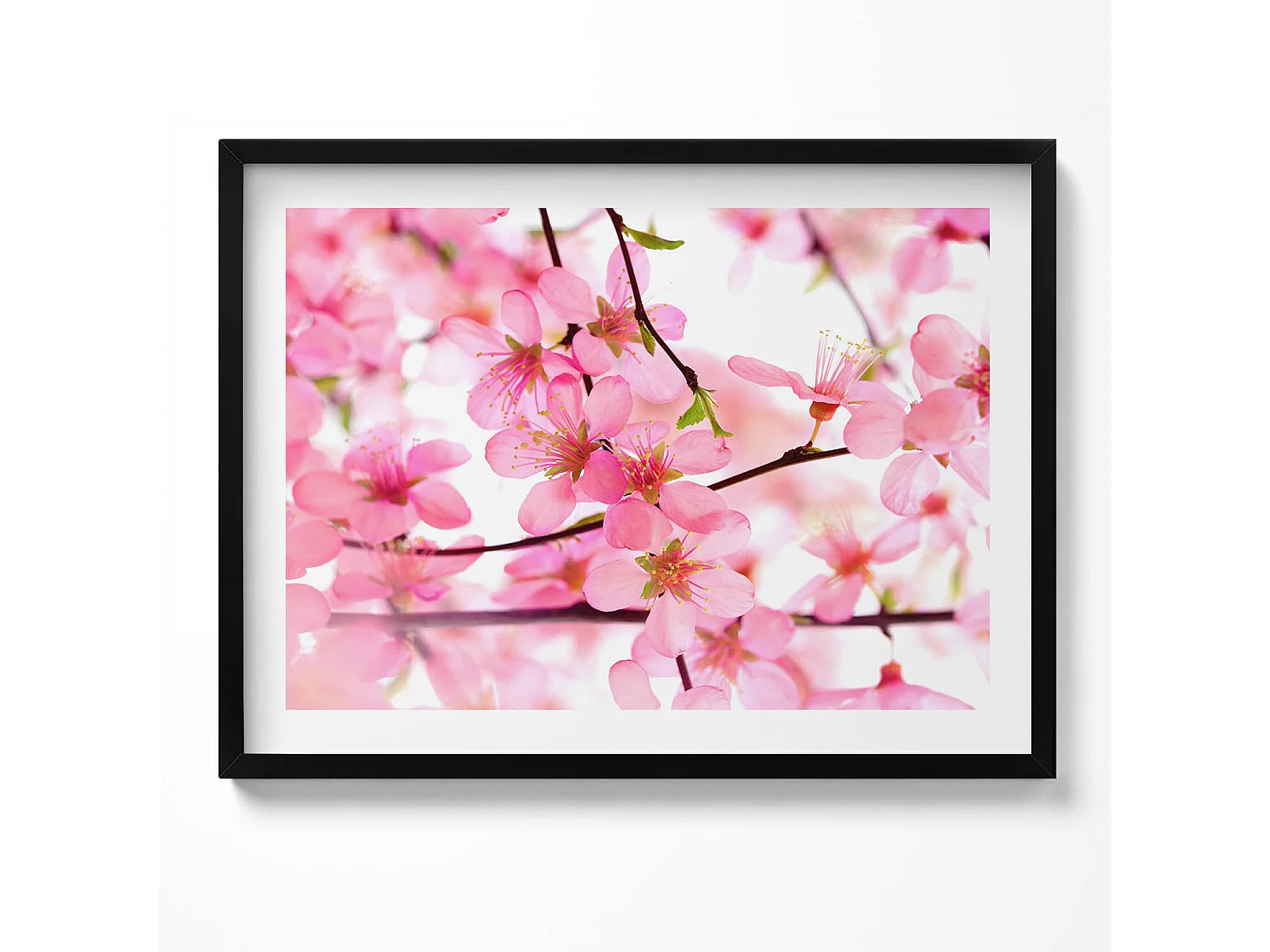 Tableau décoratif avec cadre noir, Fleurs printanières roses sur les branches 80 x 60 cm– Parfait pour le salon ou la chambre