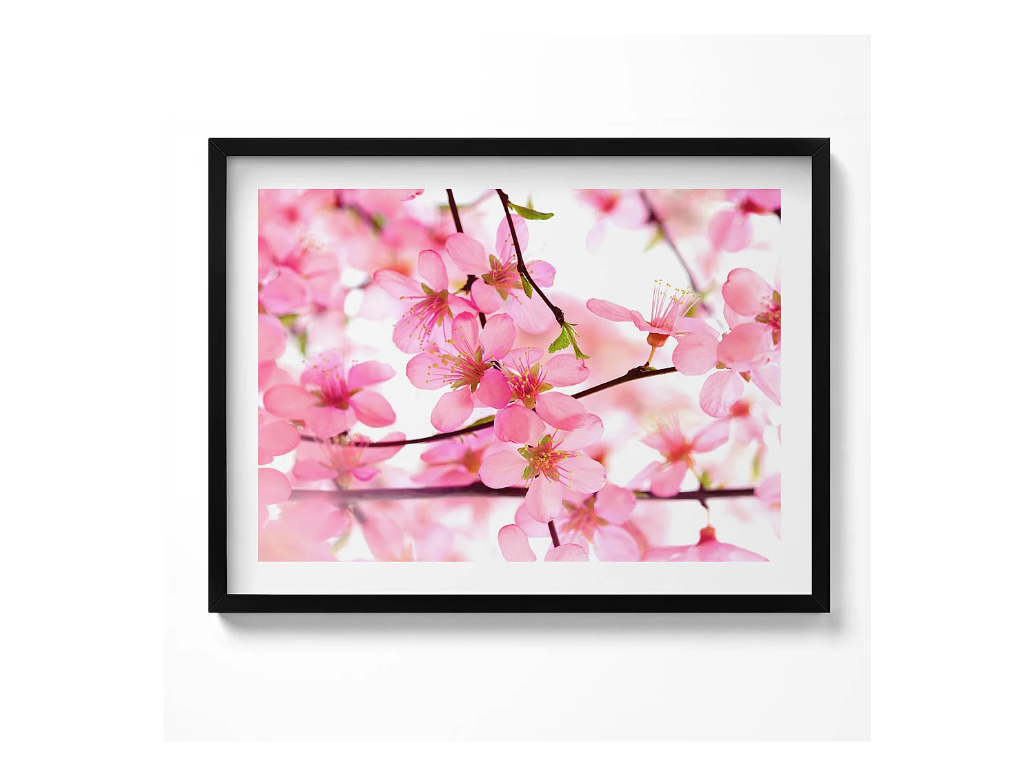 Tableau décoratif avec cadre noir, Fleurs printanières roses sur les branches 80 x 60 cm– Parfait pour le salon ou la chambre