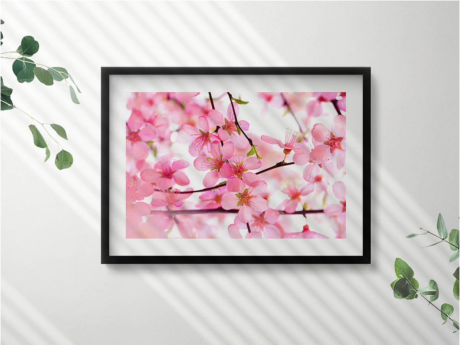 Tableau décoratif avec cadre noir, Fleurs printanières roses sur les branches 70 x 50 cm– Parfait pour le salon ou la chambre