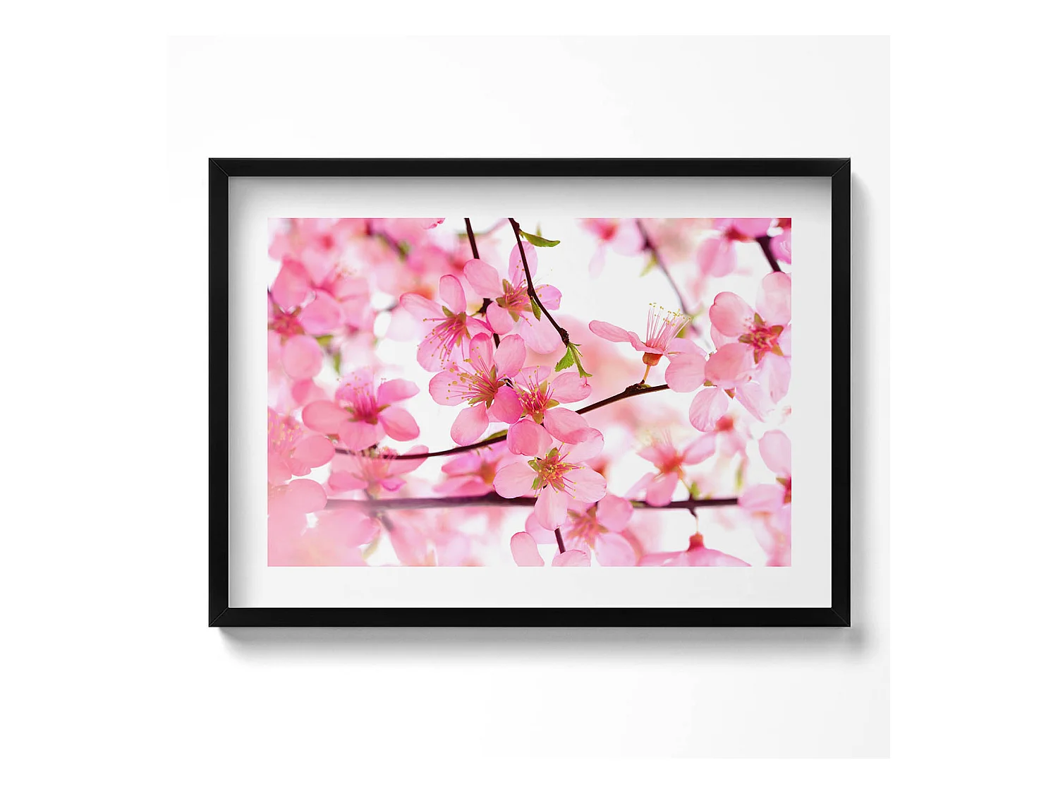 Tableau décoratif avec cadre noir, Fleurs printanières roses sur les branches 70 x 50 cm– Parfait pour le salon ou la chambre