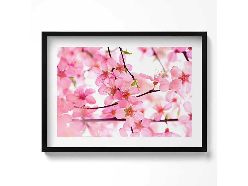 Dekoratives Gemälde mit schwarzem Rahmen, Rosa Frühlingsblumen auf den Zweigen 70 x 50 cm – Perfekt für das Wohn- oder Schlafzimmer
