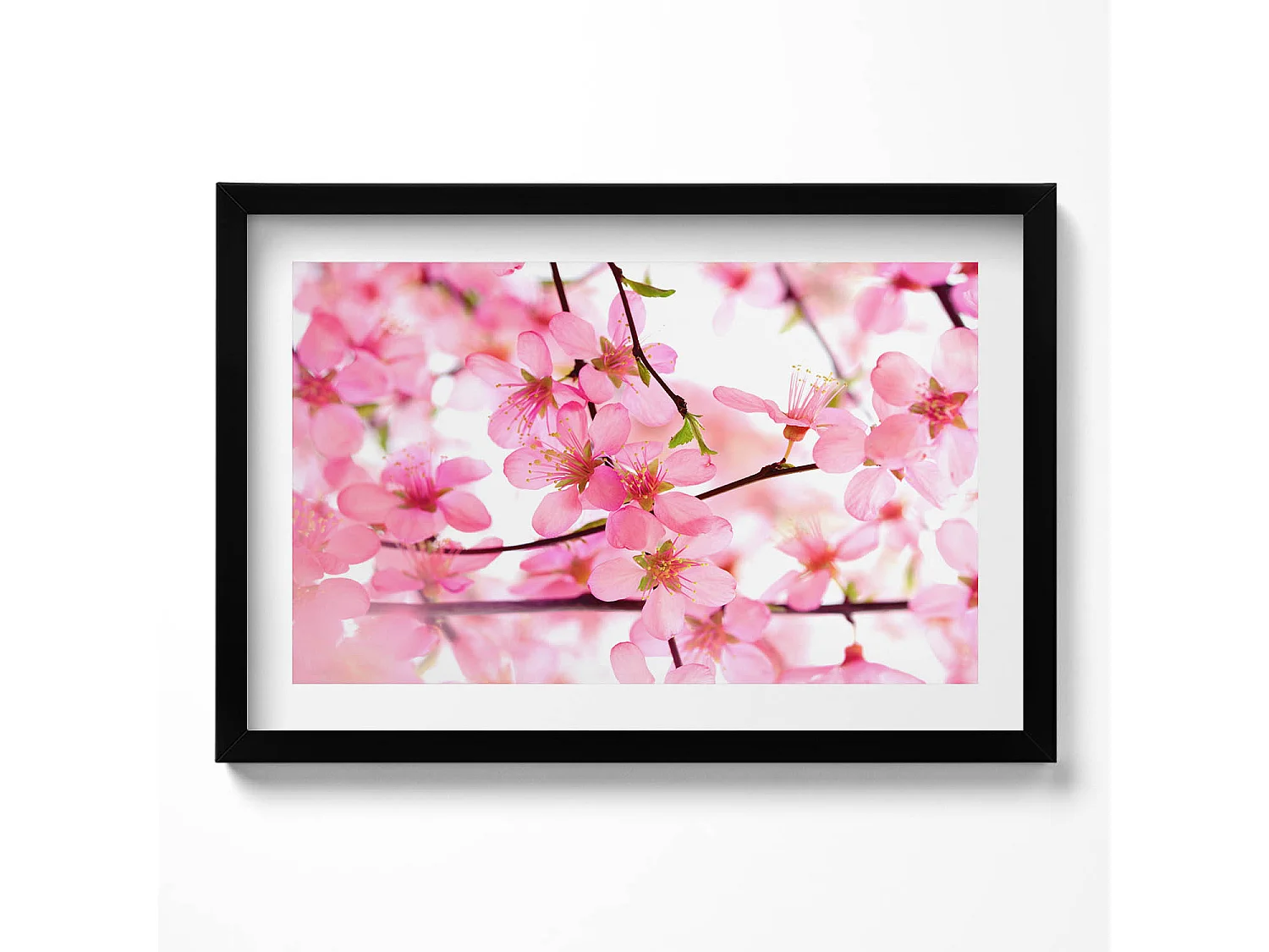 Dekoratives Gemälde mit schwarzem Rahmen, Rosa Frühlingsblumen auf den Zweigen 60 x 40 cm – Perfekt für das Wohn- oder Schlafzimmer