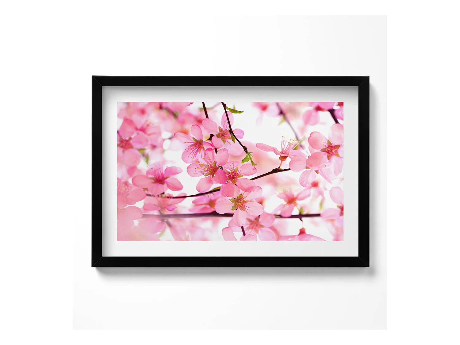 Tableau décoratif avec cadre noir, Fleurs printanières roses sur les branches 60 x 40 cm– Parfait pour le salon ou la chambre