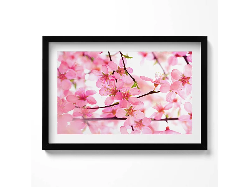 Dekoratives Gemälde mit schwarzem Rahmen, Rosa Frühlingsblumen auf den Zweigen 60 x 40 cm – Perfekt für das Wohn- oder Schlafzimmer
