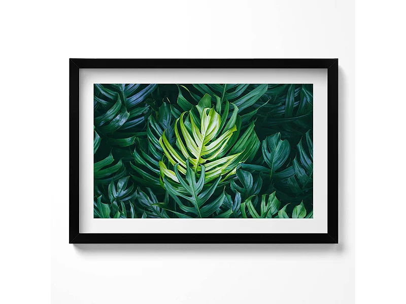 Tableau décoratif avec cadre noir, Nature tropicale - feuilles de monstera 60 x 40 cm– Parfait pour le salon ou la chambre