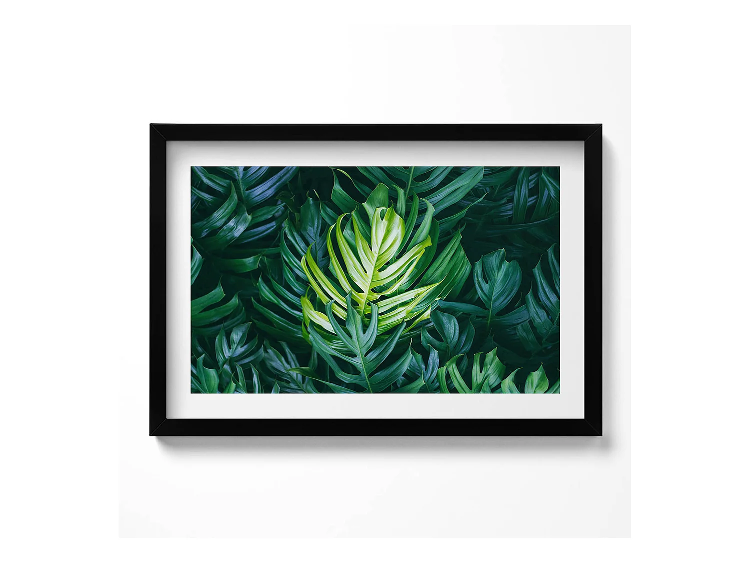 Tableau décoratif avec cadre noir, Nature tropicale - feuilles de monstera 60 x 40 cm– Parfait pour le salon ou la chambre