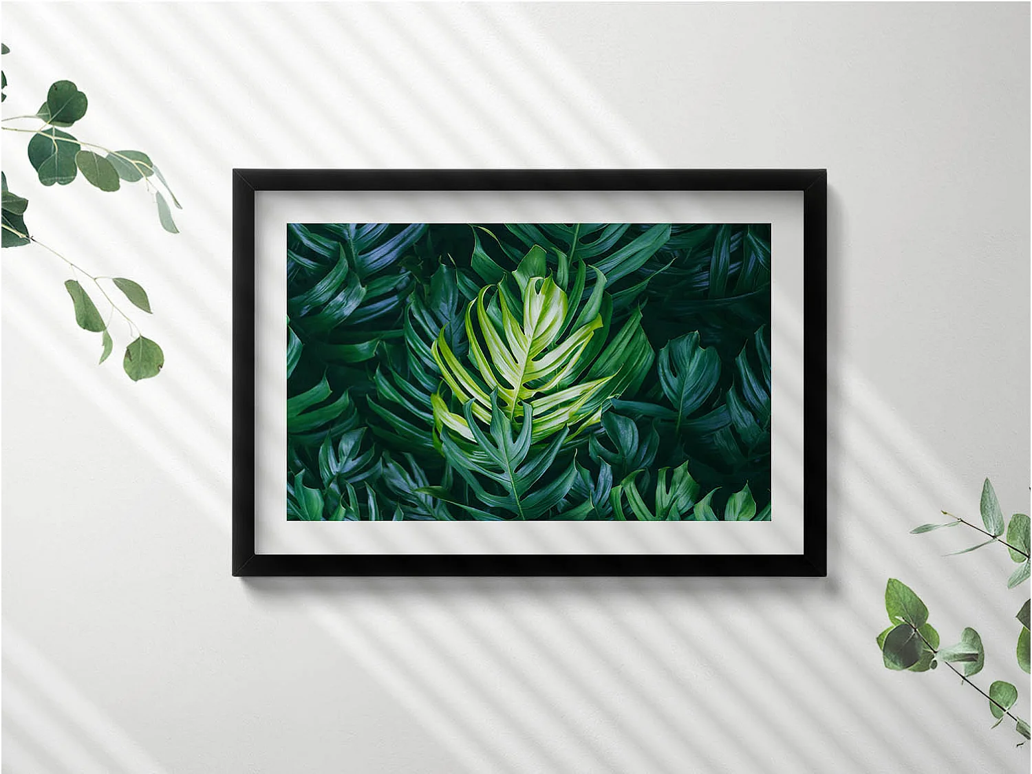 Decoratief schilderij met zwarte lijst, Tropische natuur - monsterabladeren 60 x 40 cm – Perfect voor de woon- of slaapkamer