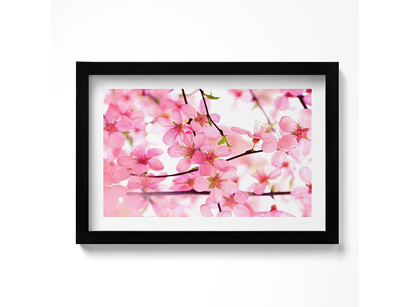 Dekoratives Gemälde mit schwarzem Rahmen, Rosa Frühlingsblumen auf Zweigen 30 x 20 cm – Perfekt für das Wohn- oder Schlafzimmer