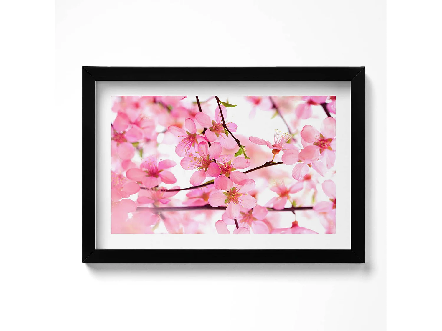 Dekoratives Gemälde mit schwarzem Rahmen, Rosa Frühlingsblumen auf Zweigen 30 x 20 cm – Perfekt für das Wohn- oder Schlafzimmer