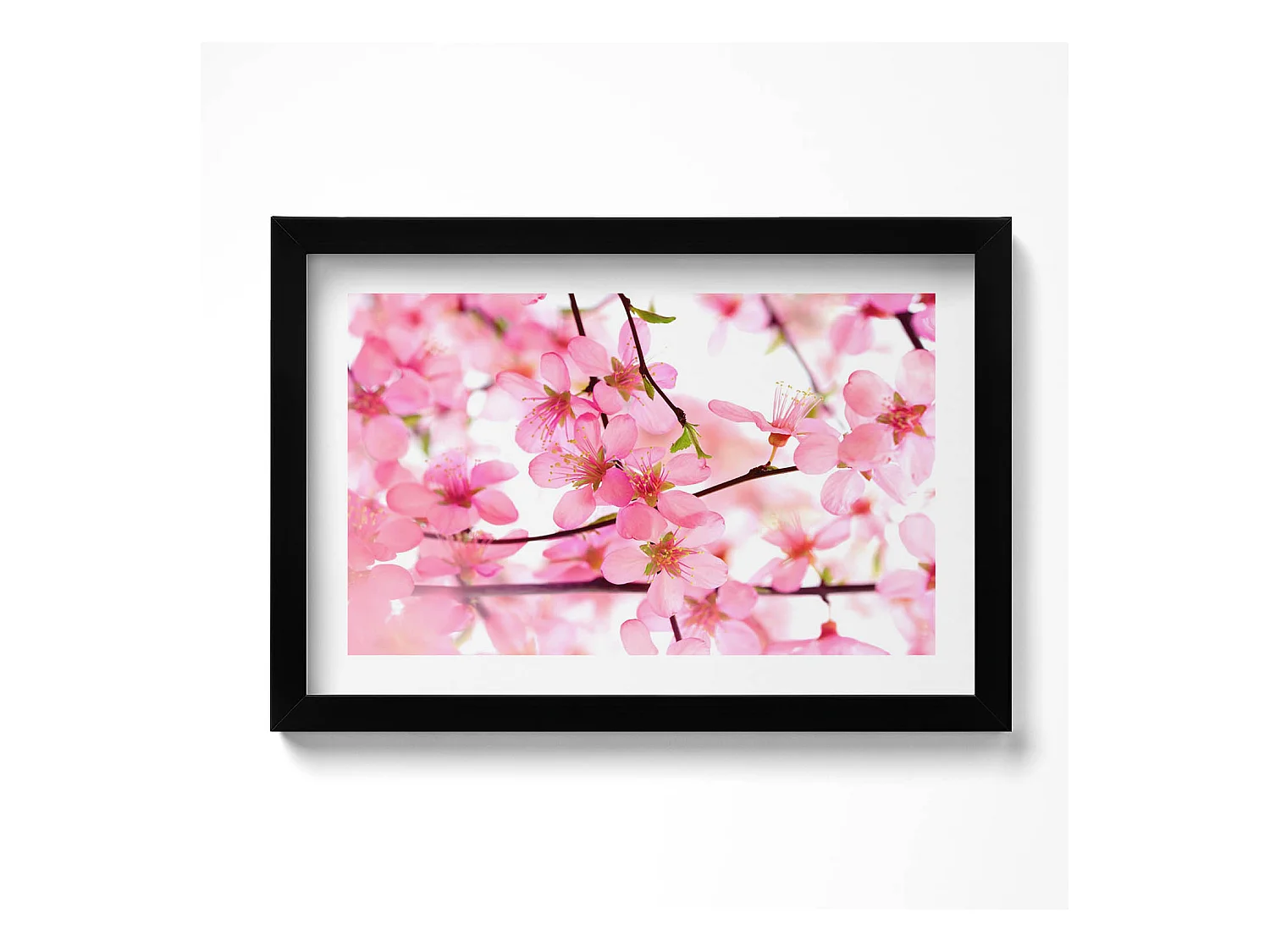 Tableau décoratif avec cadre noir, Fleurs printanières roses sur les branches 30 x 20 cm – Parfait pour le salon ou la chambre