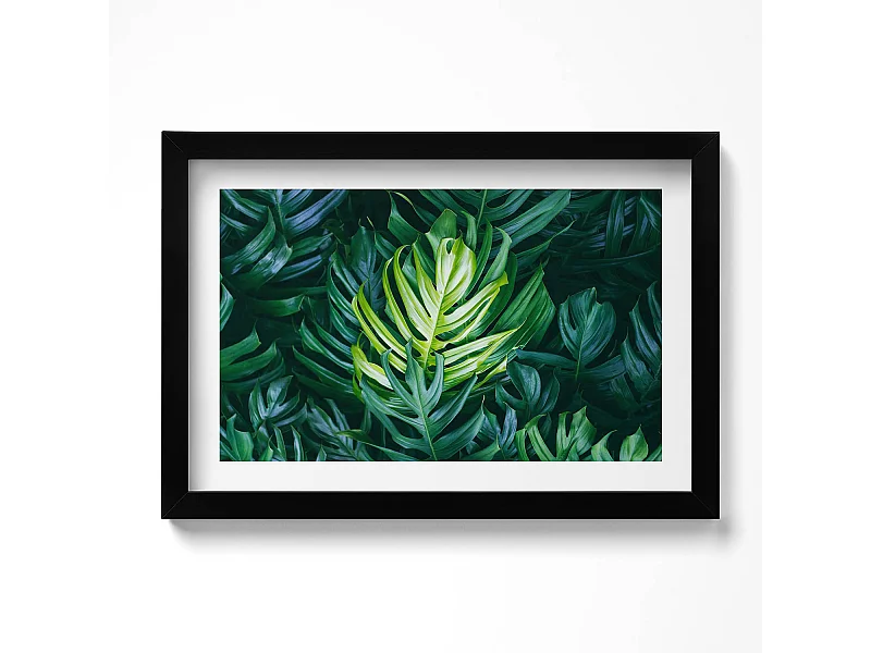 Dekoratives Gemälde mit schwarzem Rahmen, Tropische Natur – Monstera-Blätter 30 x 20 cm – Perfekt für das Wohn- oder Schlafzimmer